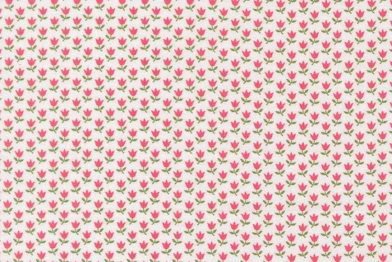 A Cat Named Stitch Blooming Roses on Blush