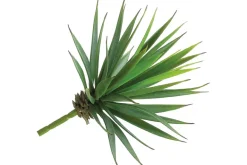 11″ Agave Plant Pick, Green