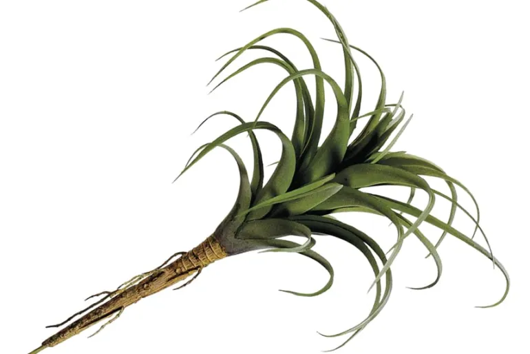 11″ Agave Plant Pick, Green