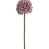 Allium Spray – 18-inch