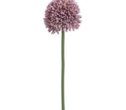 Allium Spray – 18-inch