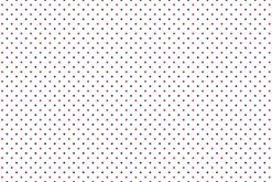 Americana Basics by Riley Blake Fireworks on White
