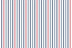 Americana Basics by Riley Blake Patriotic Swiss Dot on White