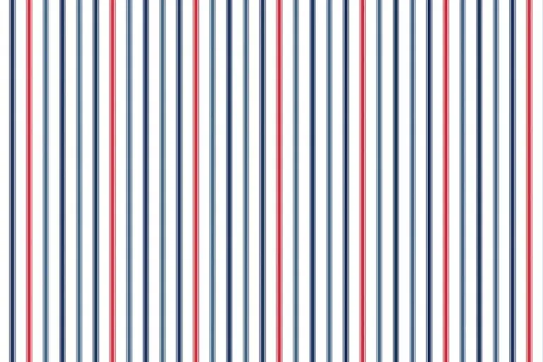 Americana Basics by Riley Blake Patriotic Swiss Dot on White
