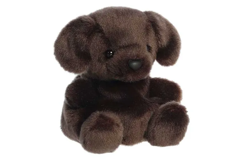 Aurora Palm Pals – Busky Husky