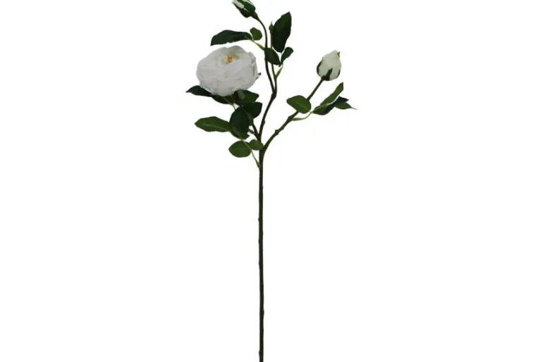 28″ Austin Rose Spray, White