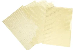 Background of Roses Embossing Folder – 5″X7″