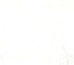 BasicGrey Grunge 108-inch Quilt Backing White Paper