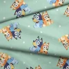 BBC Bluey & Friends Sprinkles of Fun Fabric