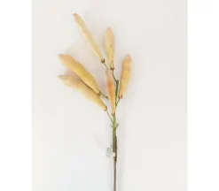 Bean Pod Spray – 24-inch