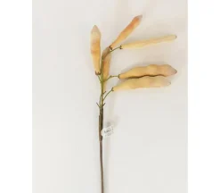 Bean Pod Spray – 24-inch