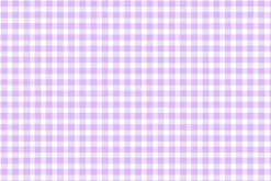 Beautiful Basic Hydrangea Gingham Check