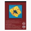 Bee Paper Vellum Bristol Paper Pad 15/sheets (view sizes)