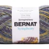Bernat Symphony Bulky Wool Blend Yarn