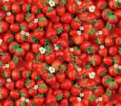 Berry Sweet Packed Sweet Strawberries