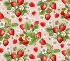 Berry Sweet Strawberry and Blooms Repeat Stripe