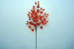 35″ Birch Spray (Orange)