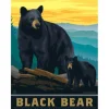 Black Bear – 300 Piece Puzzle
