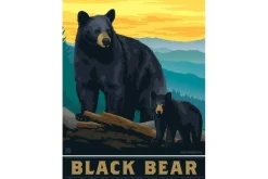 Black Bear – 300 Piece Puzzle