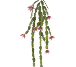 38″ Blooming Cactus Hanging Spray, Pink