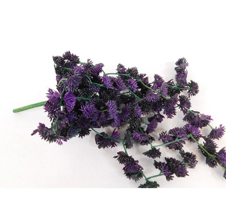 Bush – Flowering Succulent – 10-inch
