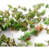 Bush – Succulent – 22-inch