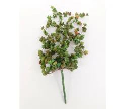 Bush – Succulent – 22-inch