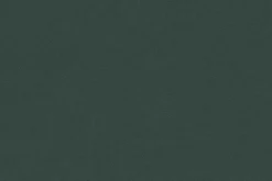 Cambridge Cotton Canvas Solid Jungle Green, 58-inches wide