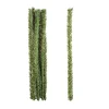 Canadian Pine Stems – 12″ x 20 mm.