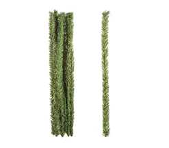 Canadian Pine Stems – 12″ x 20 mm.