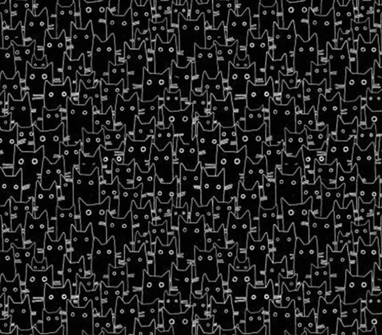 Cats in the Laundry Rinse Repeat on White