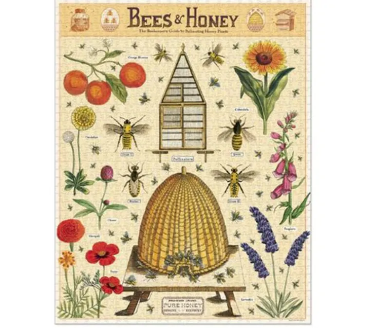 Cavallini Puzzle – Vintage Entomology Butterflies – 1000 Piece