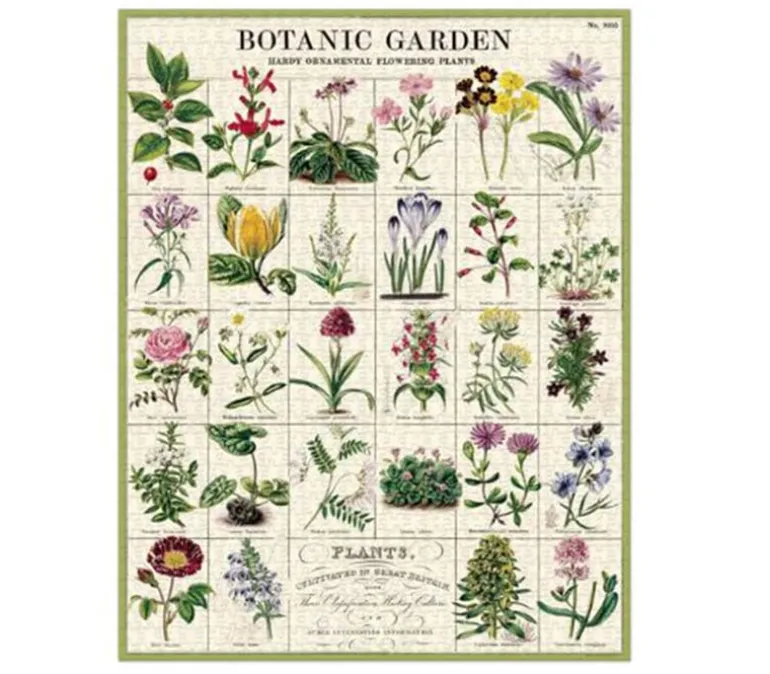 Cavallini Puzzle – Vintage Forage – 1000 Piece