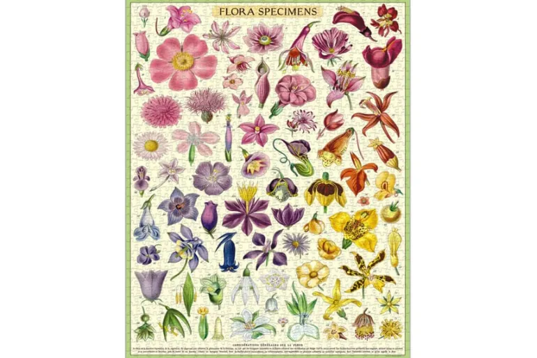 Cavallini Puzzle – Vintage Jellyfish – 1000 Piece