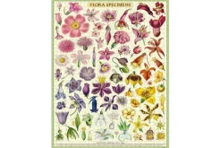 Cavallini Puzzle – Vintage Language of Flowers – 1000 Piece