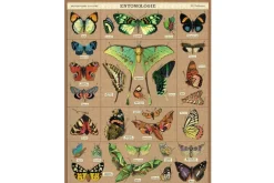 Cavallini Puzzle – Vintage Wildflowers – 1000 Piece