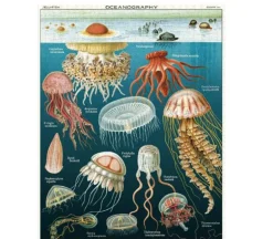 Cavallini Puzzle – Vintage Wildflowers – 1000 Piece