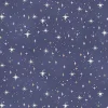 Charmed Shimmer Stars on Black