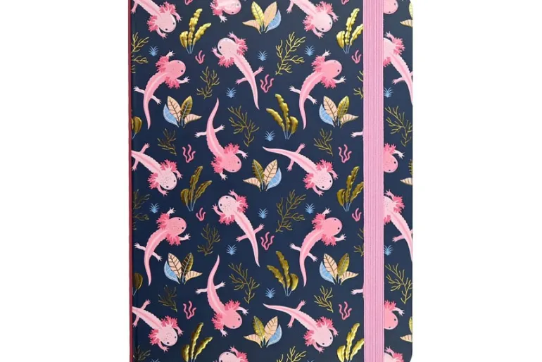 Cherry Blossoms in Spring Journal