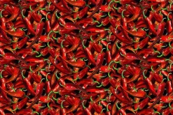 Chili Peppers Allover Toss