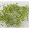 China Root Greenbrier Garland – 6-Foot Faux Greenery