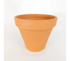 Clay Pot – 6-inch