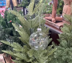 Clear Plastic Flat Disc Ornaments – 4 Piece