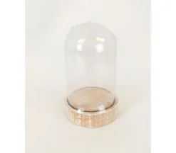 Clear Dome on Wooden Base