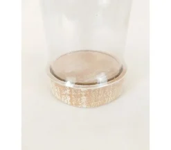 Clear Dome on Wooden Base