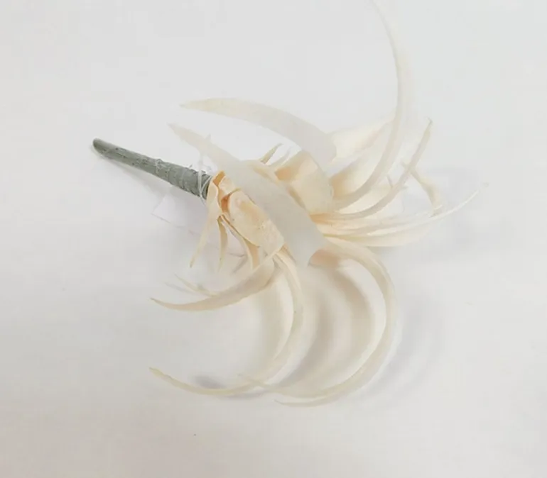 Coastal Airfern Pick – 7-inch