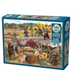 Cobble Hill Arrived Puzzle – 500 Piece