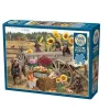 Cobble Hill Garden Birds in Spring Puzzle – 500 Piece