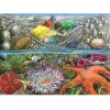 Cobble Hill Puzzle Tray Exploring the Seashore – 35 Piece