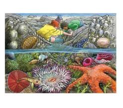 Cobble Hill Puzzle Tray Exploring the Seashore – 35 Piece